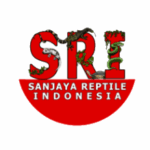 Logo PT. Sanjaya Reptile Indonesia - Lowongan Keeper – Sales Logo Perusahaan PT. Sanjaya Reptile Indonesia - Lowongan Keeper – Sales