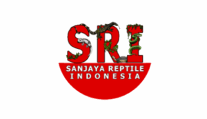 Logo PT. Sanjaya Reptile Indonesia - Lowongan Kerja Keeper – Sales Logo Perusahaan PT. Sanjaya Reptile Indonesia - Lowongan Kerja Keeper – Sales