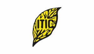 Logo Perusahaan PT Indonesian Tobacco Tbk. - Lowongan Kerja Staff Administrasi Umum