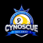 Logo Perusahaan CynosCue - Lowongan Store Keeper
